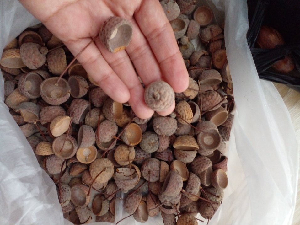 Bej ve Gri Tırnak Süslemeleri - Görsel 2