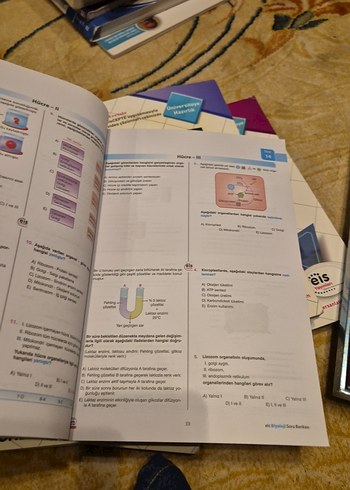 Biyoloji Soru Bankası - Üniversiteye Hazırlık - Görsel 2