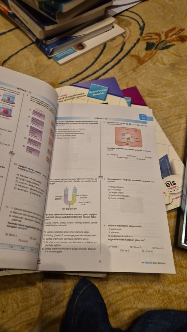 Biyoloji Soru Bankası - Üniversiteye Hazırlık - Görsel 2