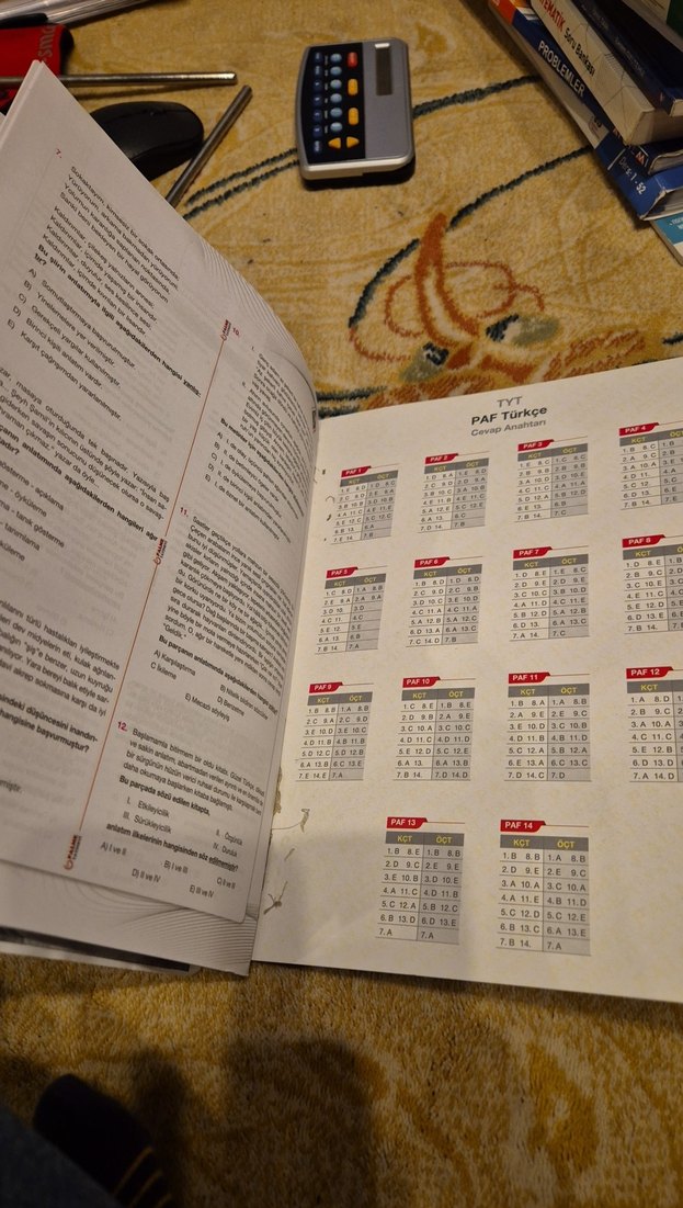 paf Palme anlatım föyleri Türkçe - Görsel 2