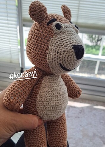 Koca ayi - Görsel 2