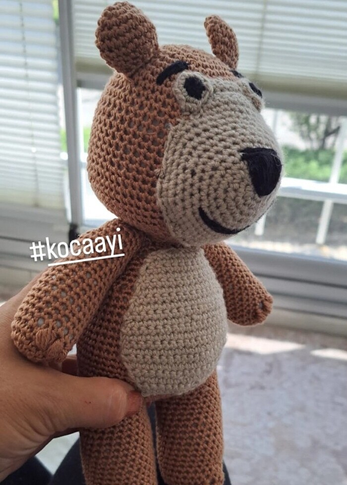 Koca ayi - Görsel 2