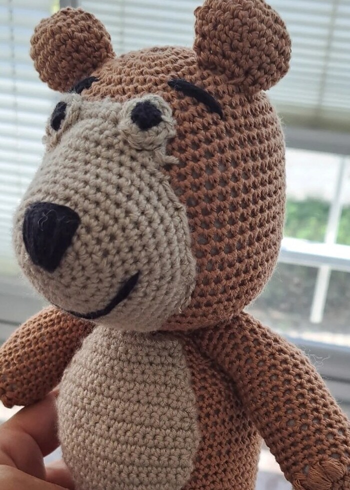 Koca ayi - Görsel 3