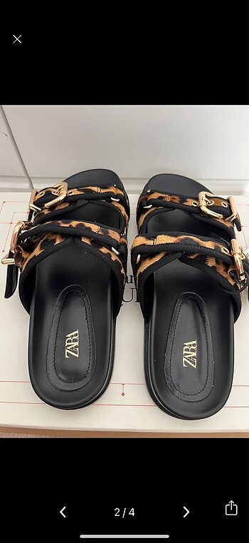 Zara Zara Terlik