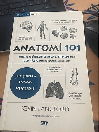 Anatomi 101