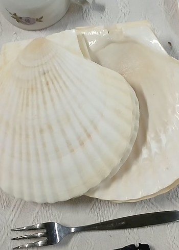 Beyaz Deniz Kabuğu Şeklinde Tabak - Görsel 2