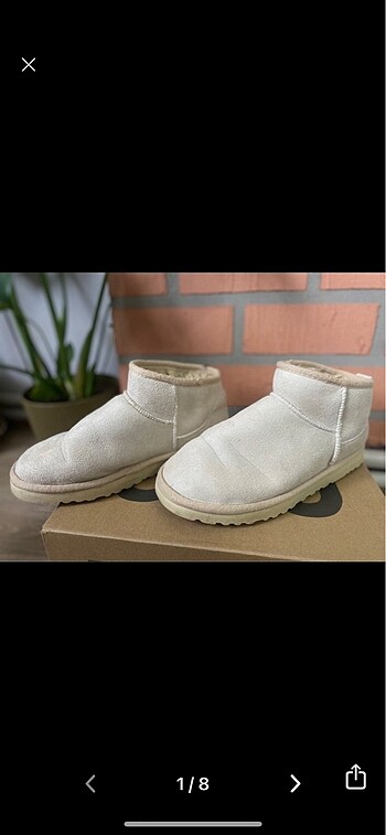 Ugg bot