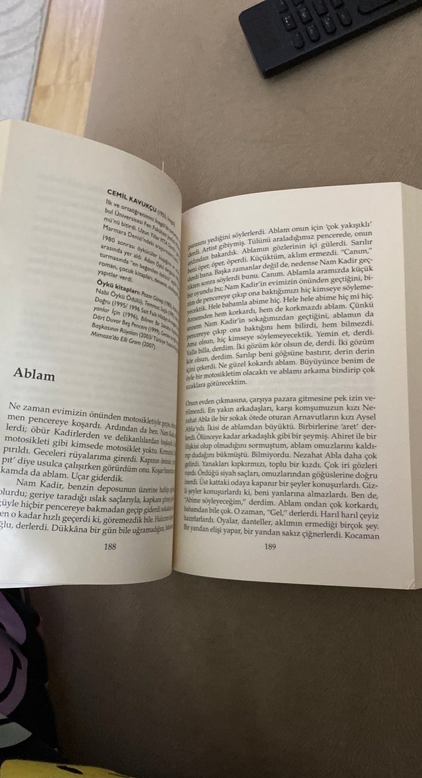 Genç Olmak 80 Yazardan Öykü 2. Cilt - Görsel 2