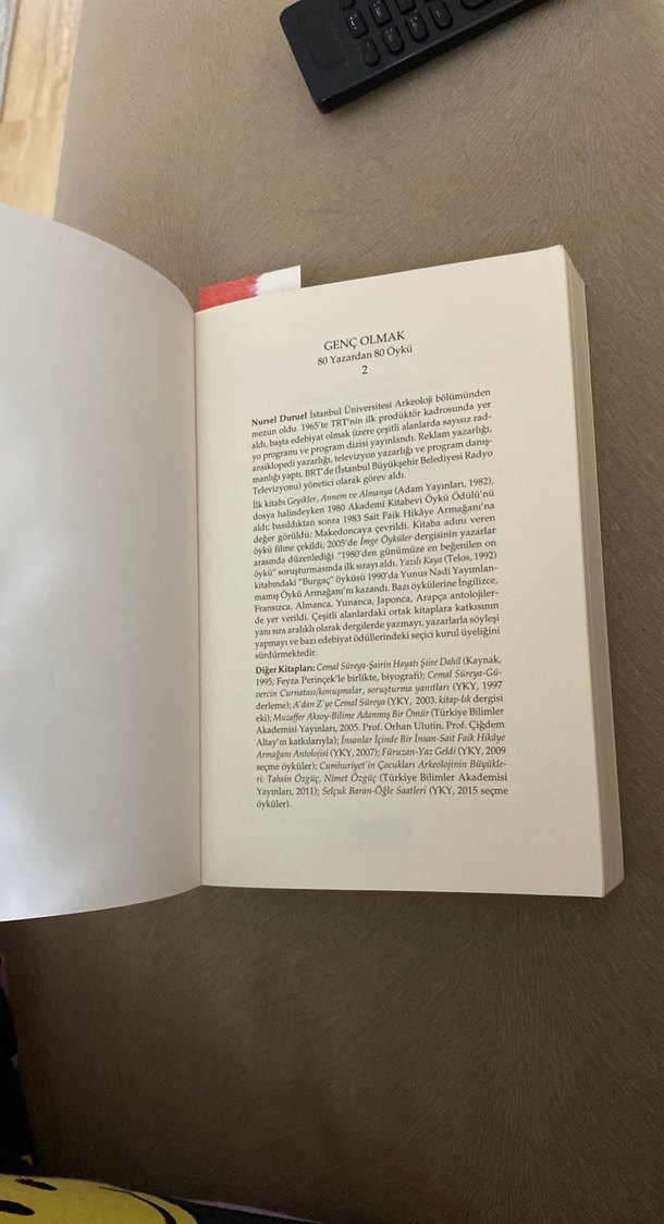 Genç Olmak 80 Yazardan Öykü 2. Cilt - Görsel 4