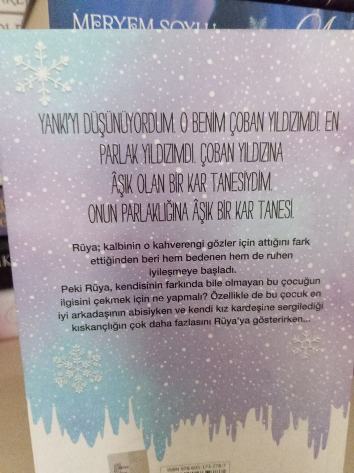 Kıskanç Abim - Sıla Sever - Görsel 4