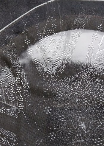 Eskilerden Paşabahçe Cam Tabak - Görsel 4