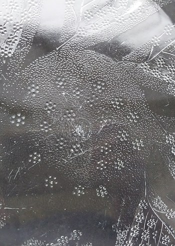 Eskilerden Paşabahçe Cam Tabak - Görsel 3