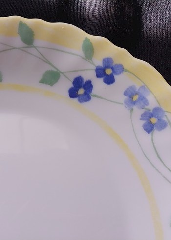 Arcopal France Mavi Çiçek Desenli Tabak - Görsel 5