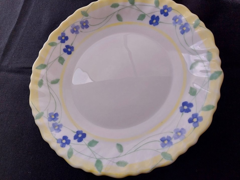 Arcopal France Mavi Çiçek Desenli Tabak - Görsel 3