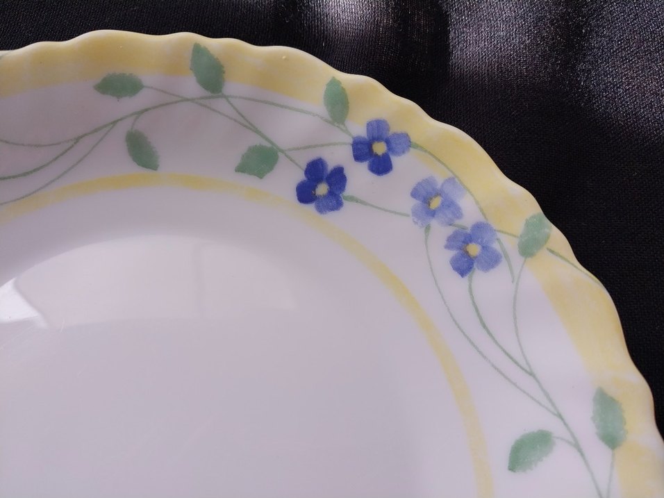 Arcopal France Mavi Çiçek Desenli Tabak - Görsel 5