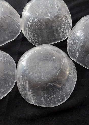 Gri Kenarlı Şeffaf Cam Kase Seti - Görsel 2