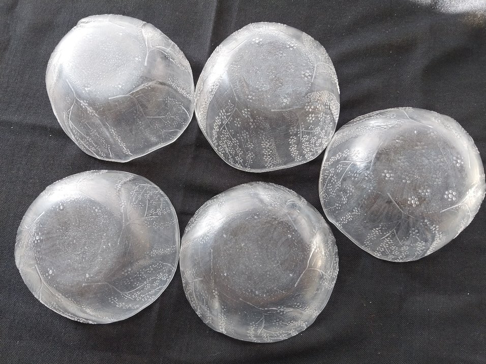 Gri Kenarlı Şeffaf Cam Kase Seti - Görsel 3