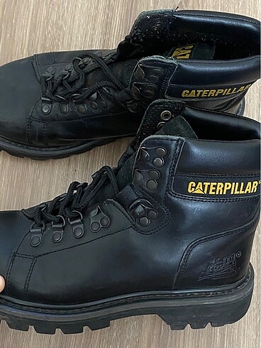 38 Beden Cat temiz bot