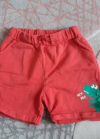 LC Waikiki Erkek Çocuk sort