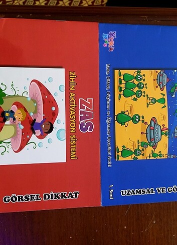 Beden Zas zihin aktivasyon sistemi 1 sınıf