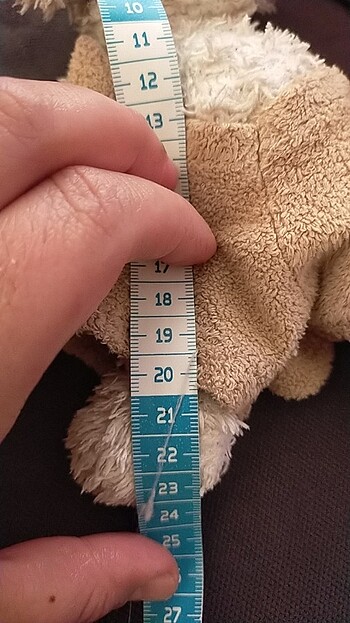 Beden minik kuzucuk