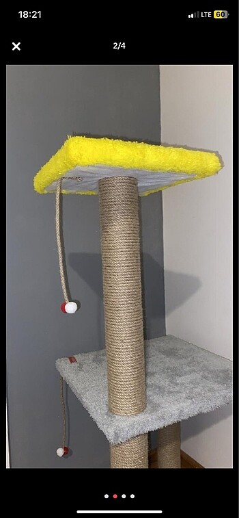  kedi tırmalama tahtası