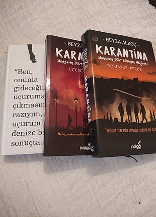 Karantina serisi