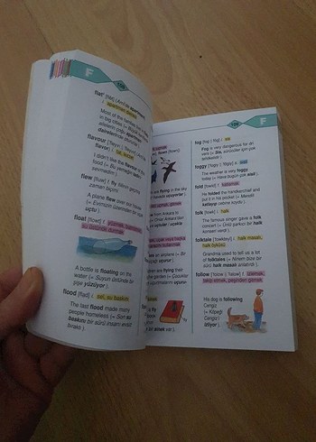 Beden İngilizce-Türkçe Resimli Sözlük