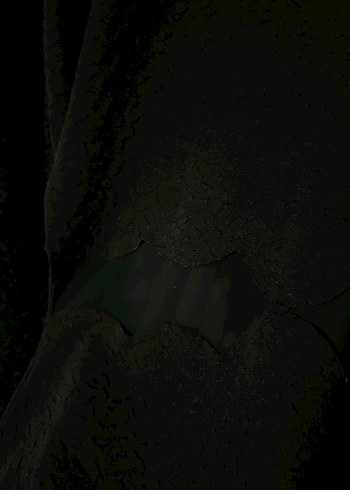 Siyah Uzun Kollu Kısa Koton Elbise - Görsel 3