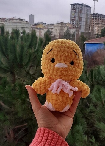 Koca kafa civciv 