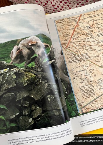  Beden National Geographic Dergisi Ağustos 1994 Sayısı