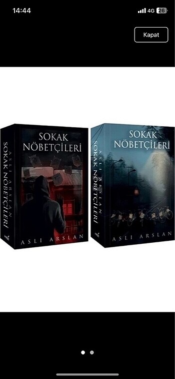 Sokak nöbetcileri