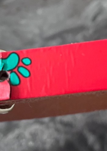 Renkli Tasma - Görsel 4