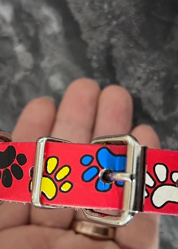 Renkli Tasma - Görsel 3