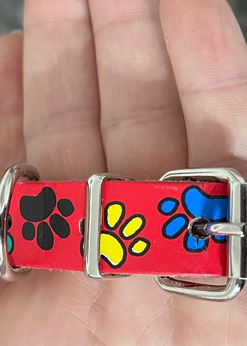 Renkli Tasma - Görsel 2