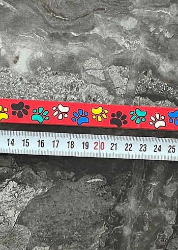 Renkli Tasma - Görsel 5