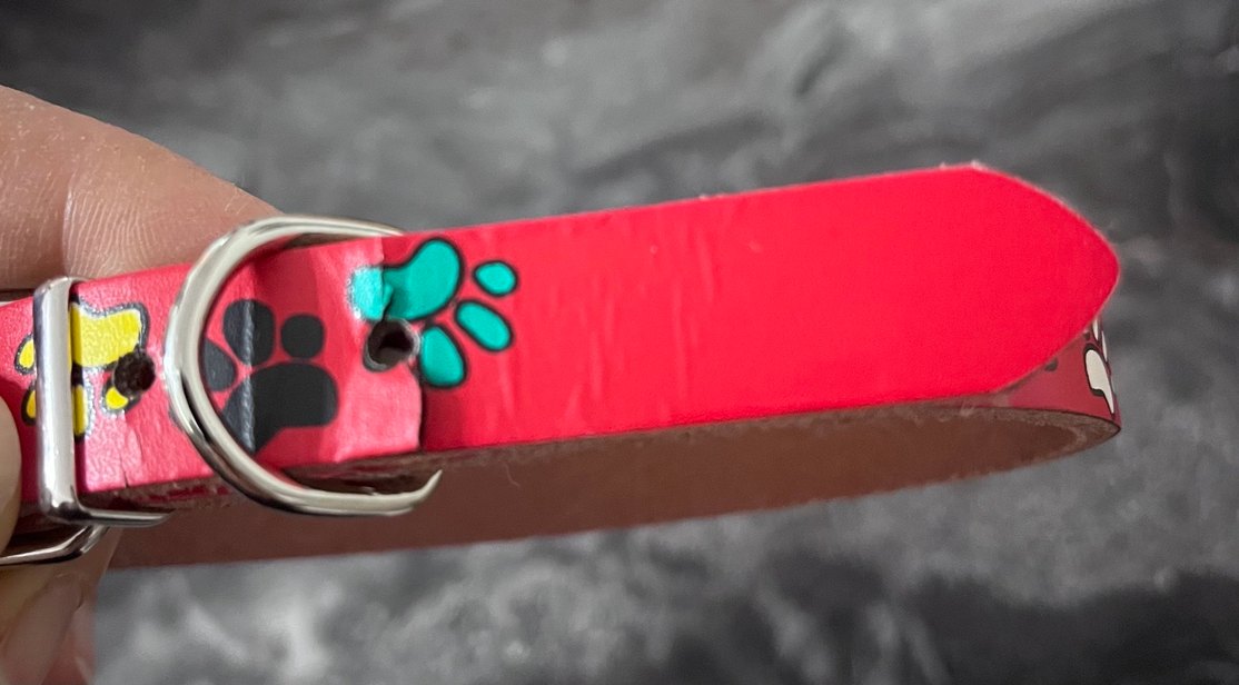 Renkli Tasma - Görsel 4