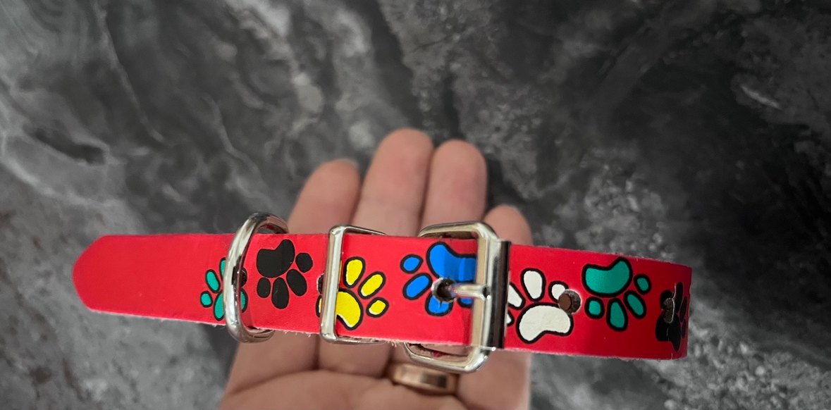 Renkli Tasma - Görsel 3