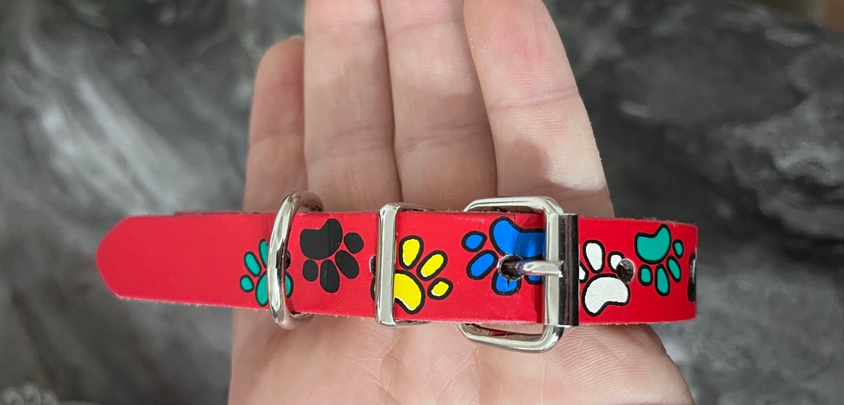 Renkli Tasma - Görsel 2