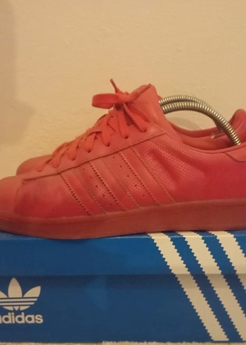 Adidas Canli Mercan Adidas Sneaker