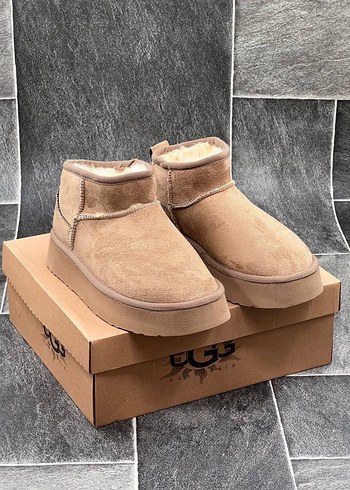 Ugg Ugg Bot