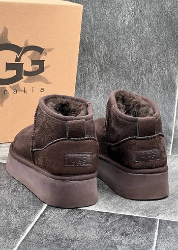 Ugg Ugg Bot