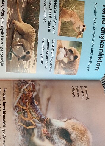 ilk okuma - Görsel 4