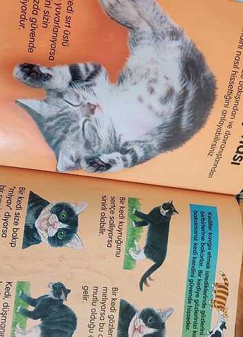 ilk okuma - Görsel 7