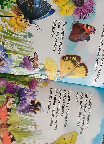 ilk okuma - Görsel 8