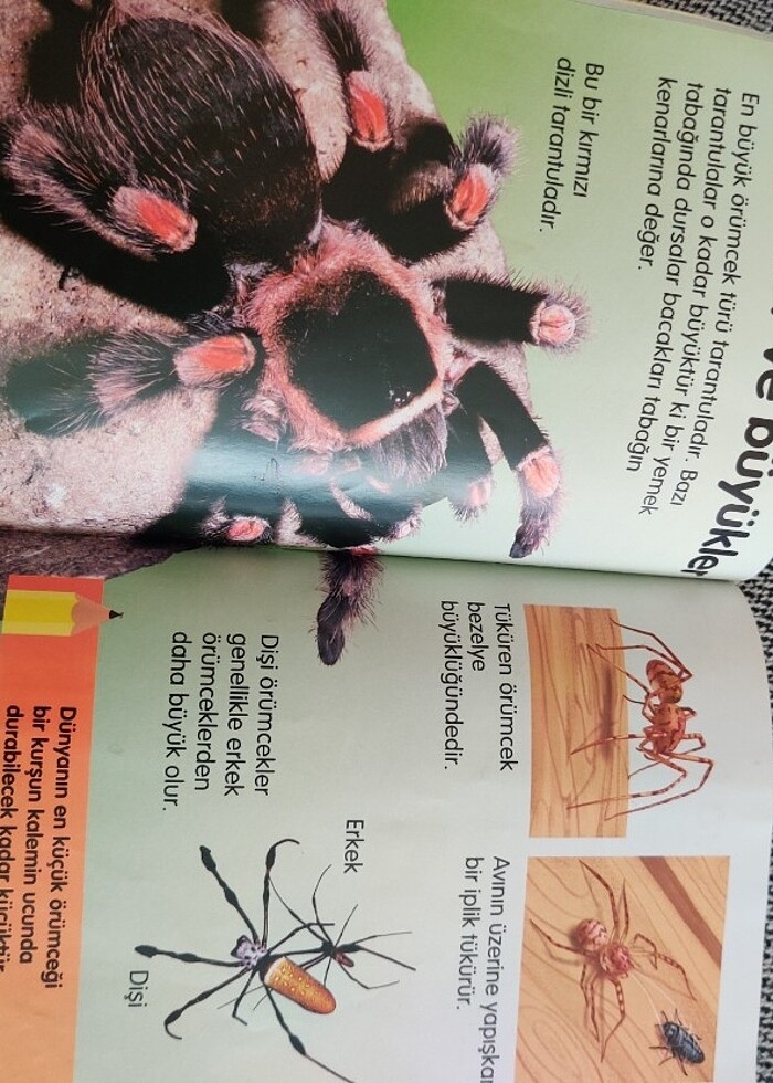 ilk okuma - Görsel 3