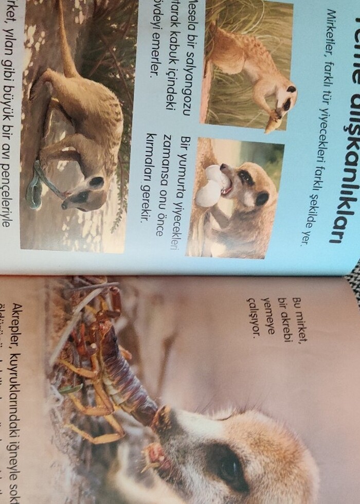 ilk okuma - Görsel 4