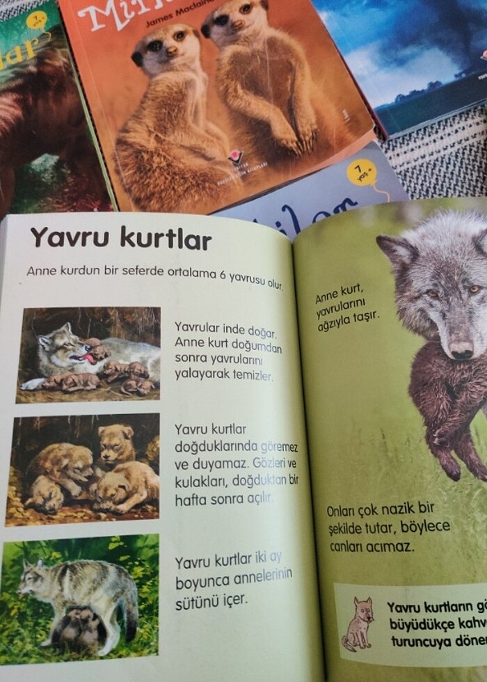 ilk okuma - Görsel 5