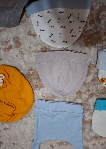 Yeni doğan bere - Görsel 3