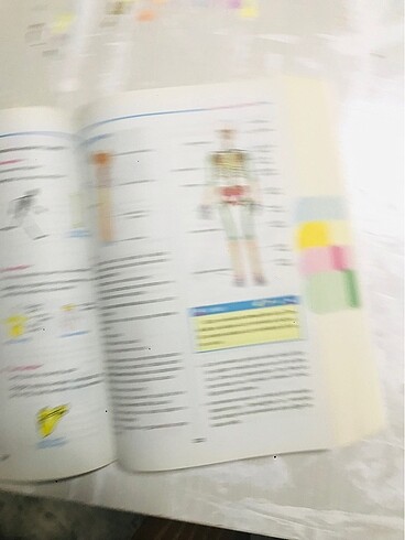 6. Sınıf Tüm Dersler - Görsel 6